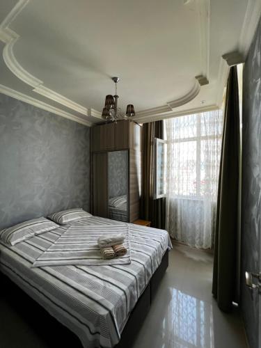 Nukri's Apartment
