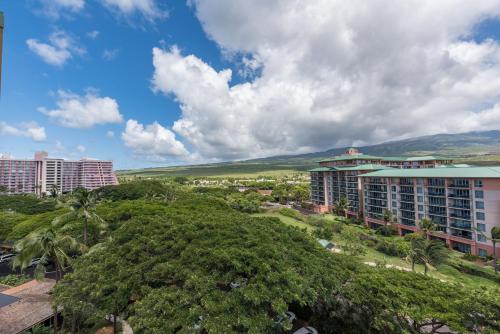 Mahana Resort #1017 1 Br Condo - photo 26