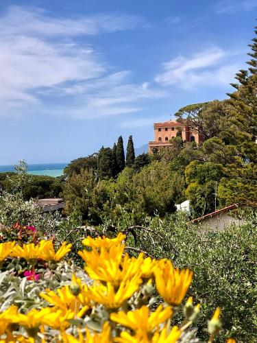 Il Leudo — Lavagna — photo 4