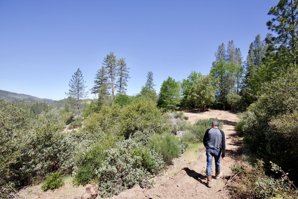 Mandala Springs Wellness Retreat Center - photo 33