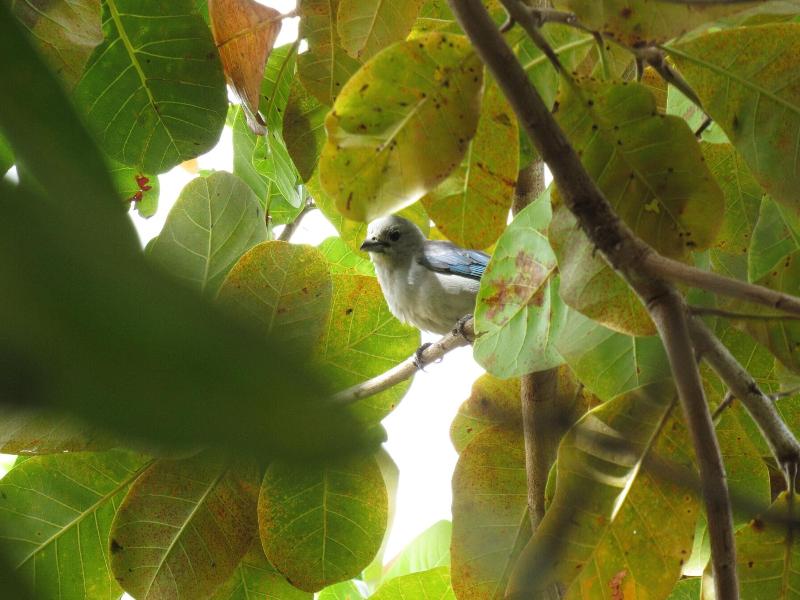ChalÃ Sol da Barra in Marau, Brasil