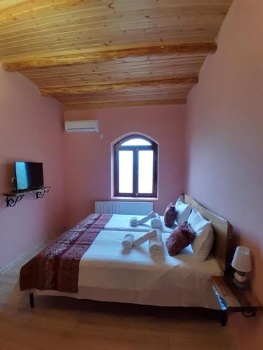 Château Fort de Manavi Boutique Hotel