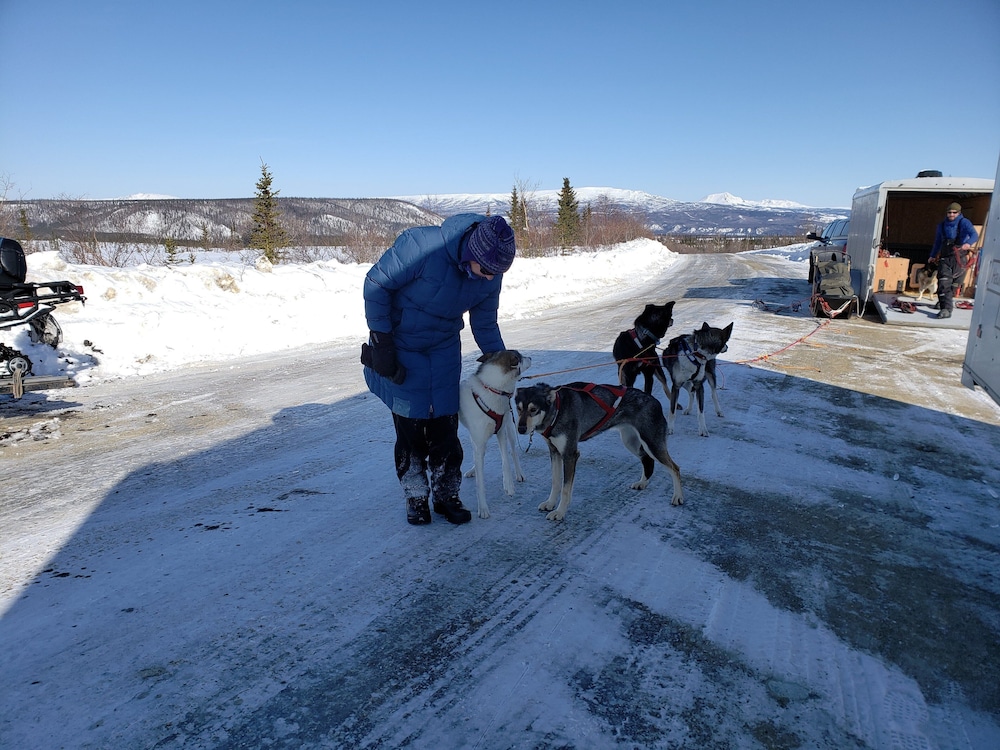 Denali Wild Stay - photo 63