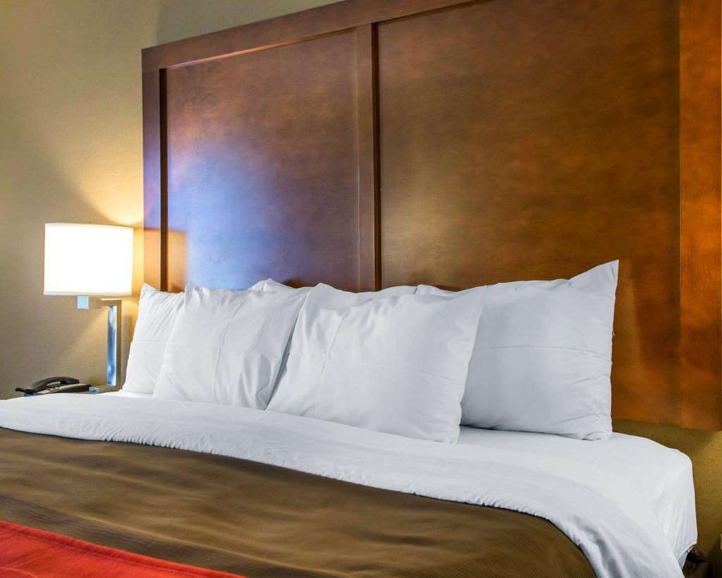 Comfort Inn Dayton Huber Heights - photo 19