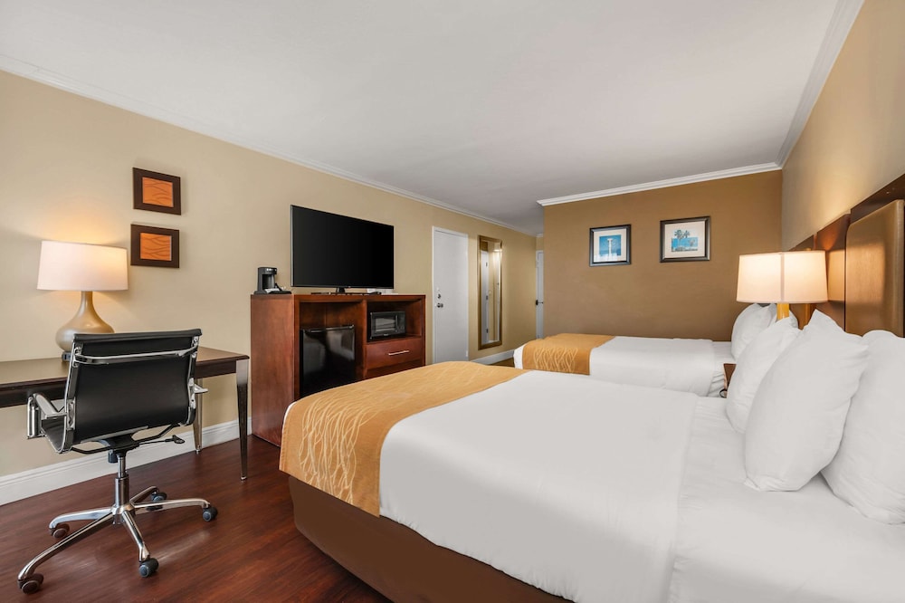 Comfort Inn Oceanside Deerfield Beach - photo 22