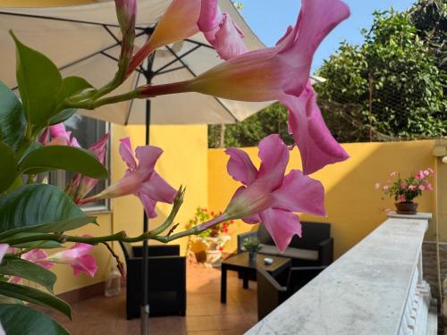 Villa Titina — 4-Star Luxury Hotel in Naples, Italy
