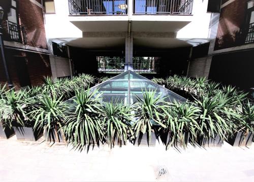 Avlabari Apartment NEW ONE