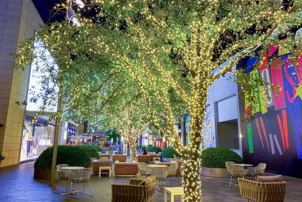 Luxe Life - photo 54