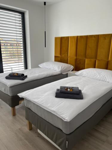 Golf Villa Stella s bazénom — Stupava — photo 4