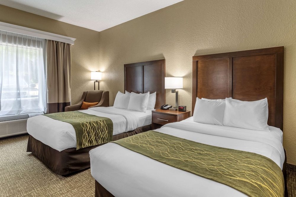 Comfort Inn Kingsport Southeast - photo 16