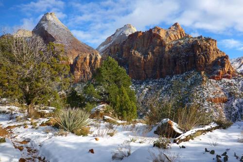 2 Cranes Inn Zion - photo 36
