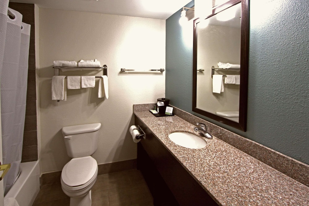 Sleep Inn & Suites Foley Gulf Shores North - photo 13