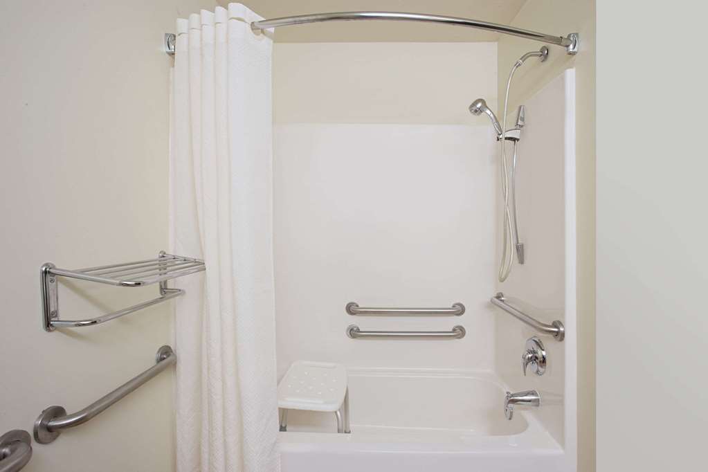 Microtel Inn & Suites by Wyndham Holland - photo 11