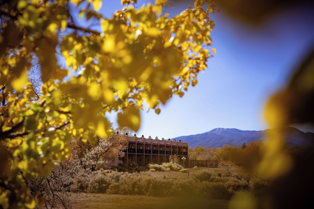 Sagebrush Inn & Suites - photo 136