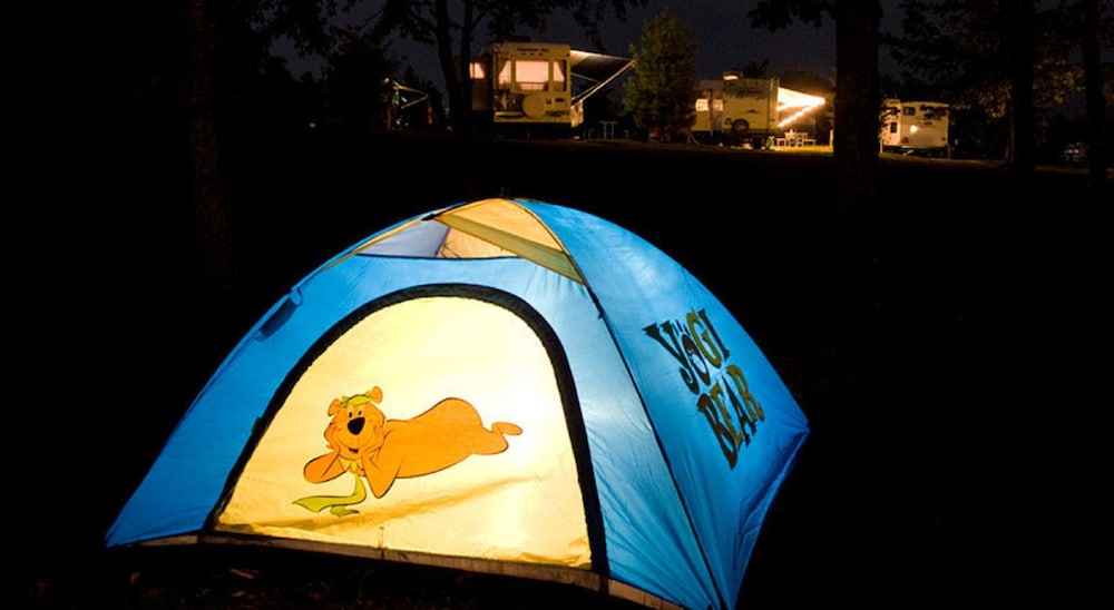 Yogi Bear's Jellystone Park Camp Resort Wisconsin Dells - photo 21