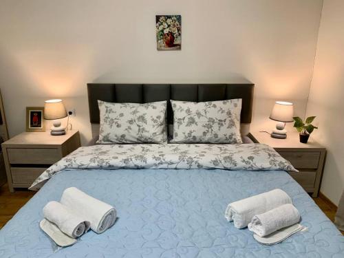 Niko Pirosmani 3 room apartment in Old Tbilisi