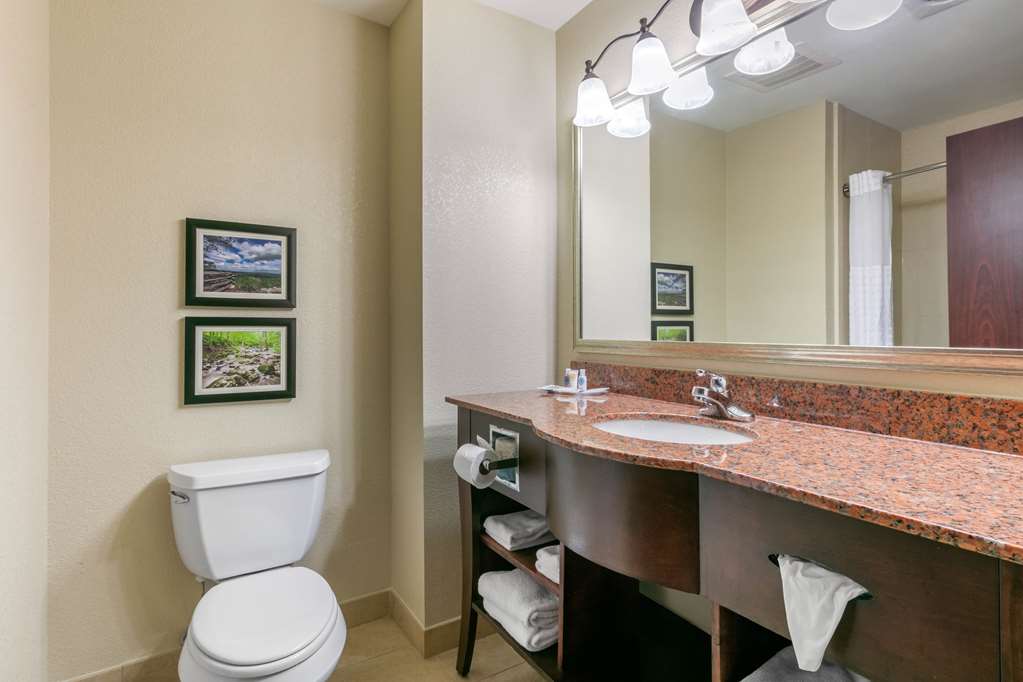 Comfort Suites Forrest City - photo 11