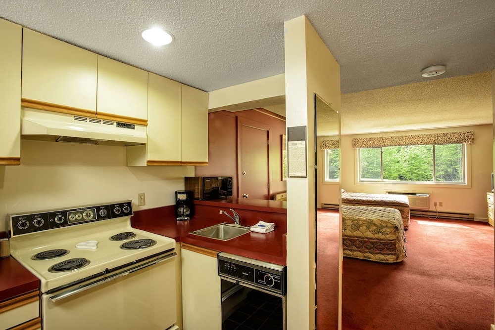 Snowy Owl Inn And Resort - photo 6