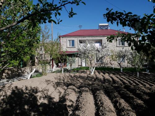 Karin’s B&B — Hats'avan — photo 4