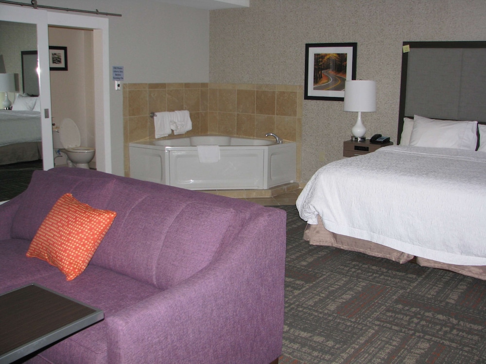 Hampton Inn Sevierville - photo 8