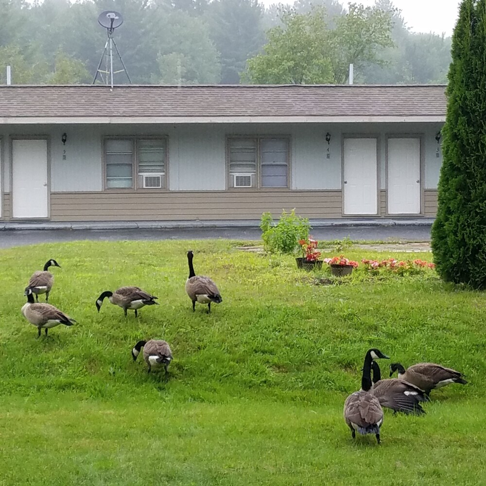 Becket Motel - carbon neutral hotel in Becket