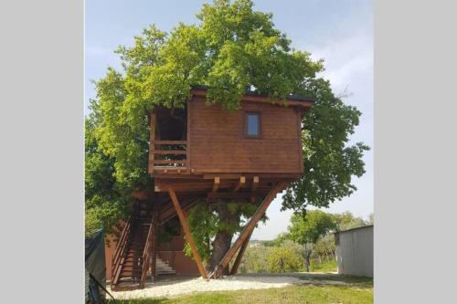 Casa sull'Albero Treehouse Costa dei Trabocchi — 4-Star Luxury Hotel in Torino Di Sangro, Italy