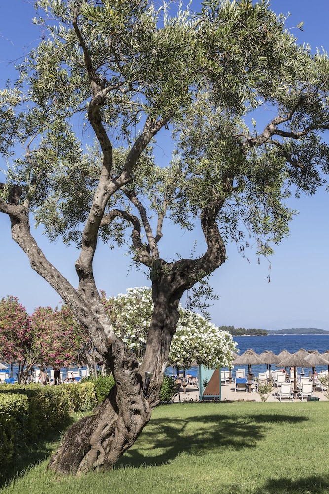 שטחי חוץ / גן