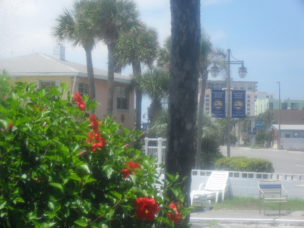 Shore Winds Motel - photo 55