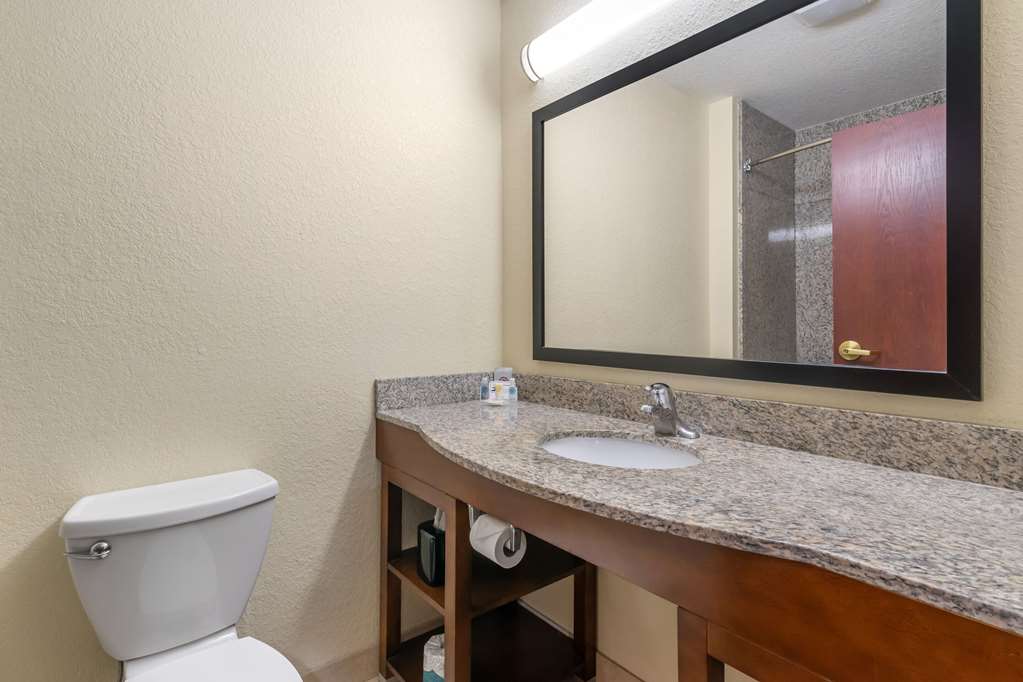 Comfort Inn & Suites Northeast Gateway - photo 15