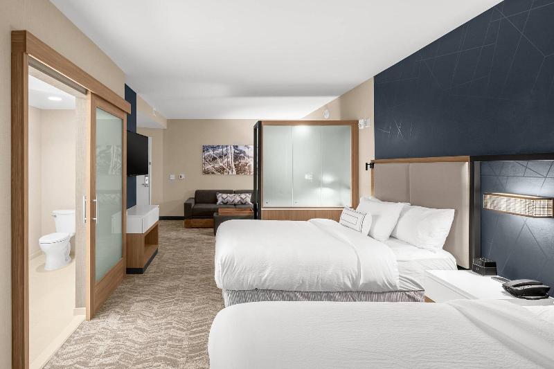 SpringHill Suites by Marriott Jackson - photo 37