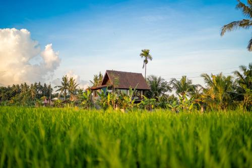Green Swaha Mas Wooden Villa — 4-Star Luxury Hotel in Ubud, Indonesia