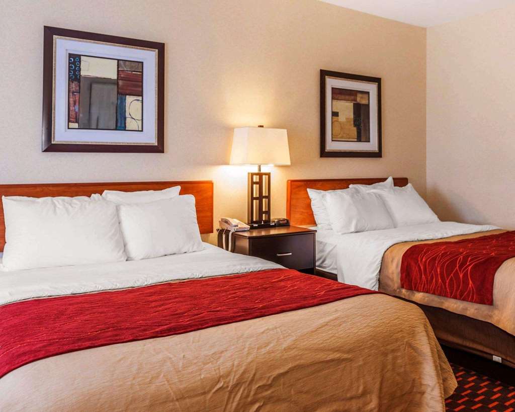 Comfort Inn Avon Indianapolis West - photo 15
