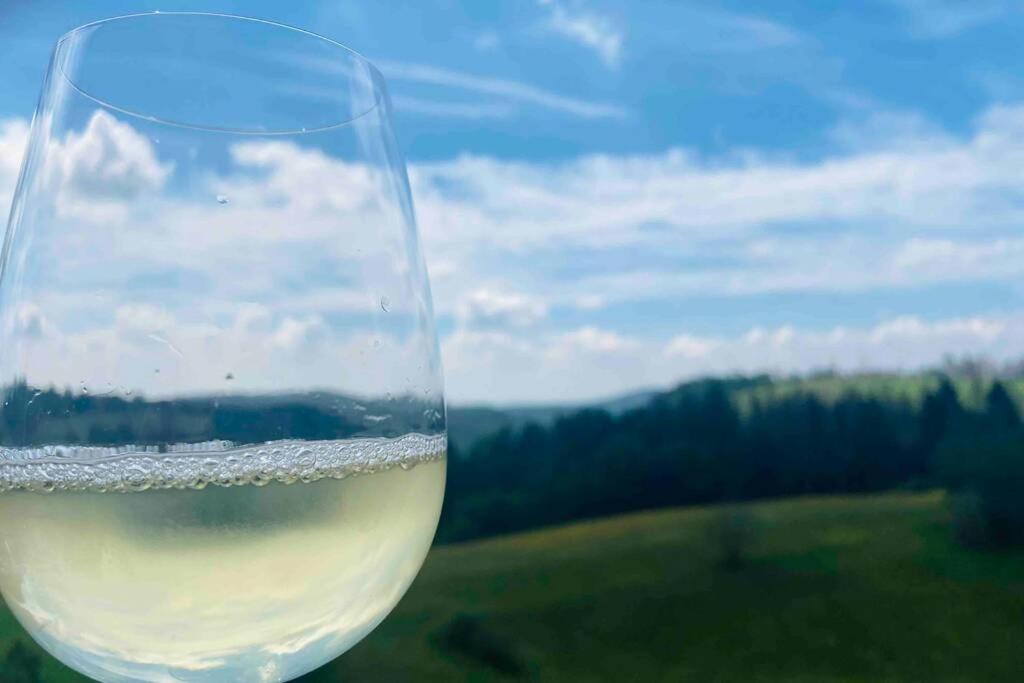 Schönes ruhiges App mit Panoramablick auf den Harz — 4-Star Luxury Hotel in Braunlage, Germany