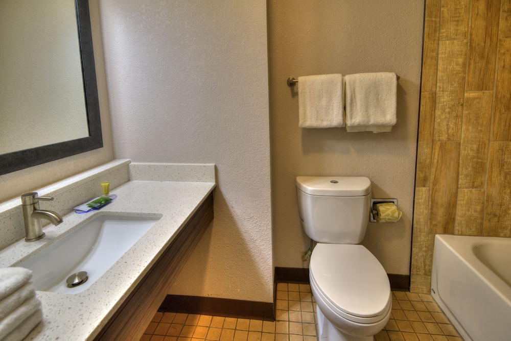 Clarion Pointe Downtown Gatlinburg - photo 27