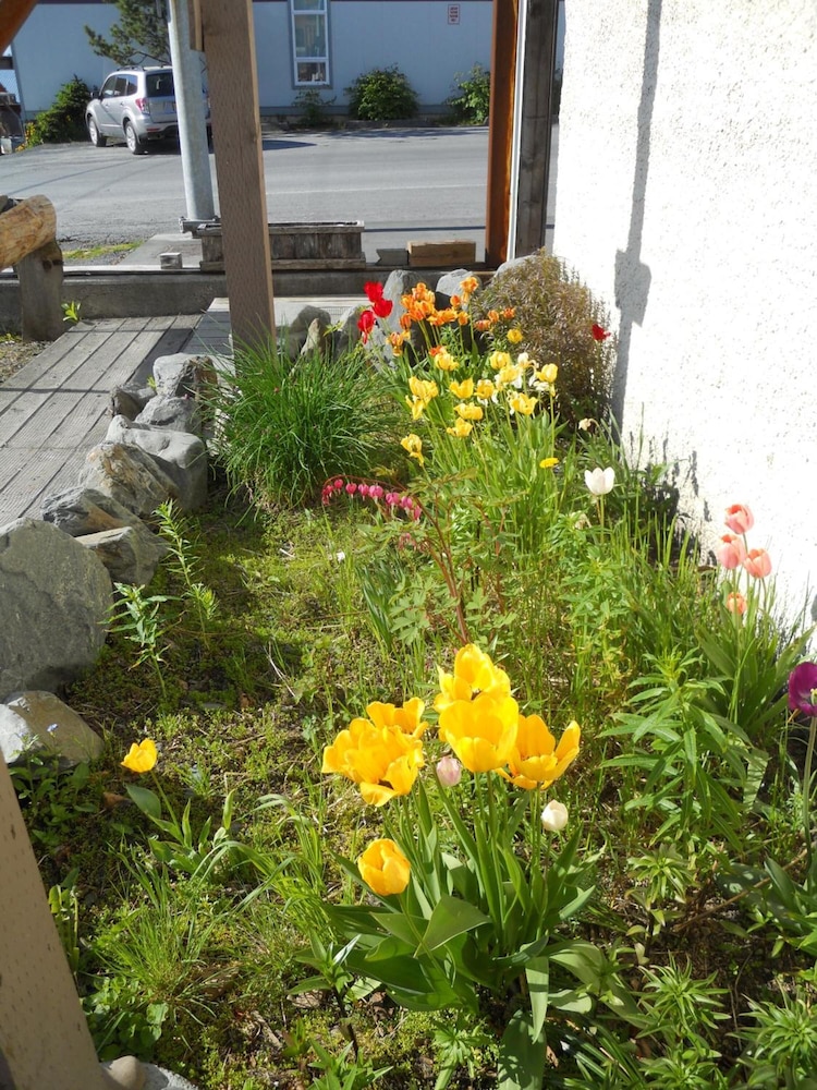 A Swan Nest Inn - photo 49