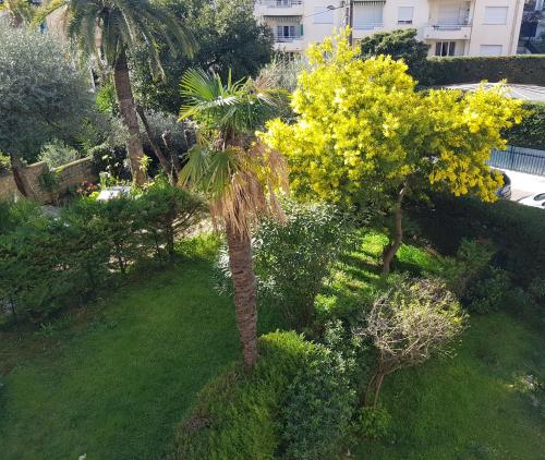 FRGK Gallieni Terrasse au calme — 4-Star Luxury Hotel in Cannes, France