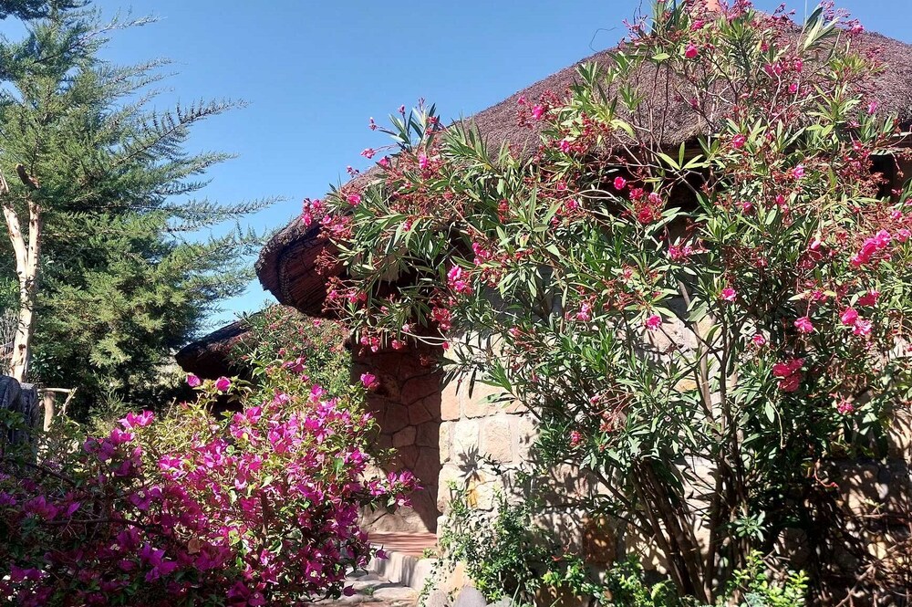 Bethan Amba ecovillage — Lalibela — photo 4