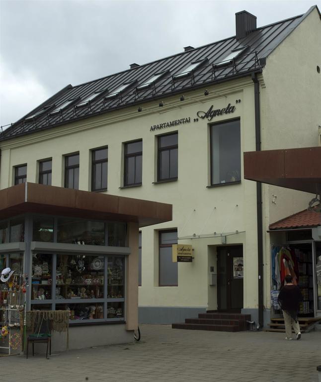 Agneta Apartamentai in Druskininkai, Lithuania
