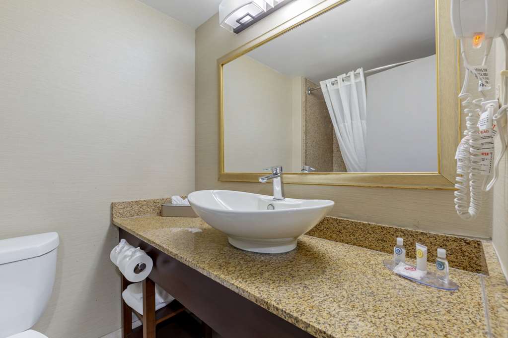 Comfort Inn Herndon Reston - photo 21