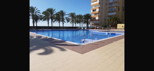 Estudio Fran Centro Internacional — hotel in Algarrobo