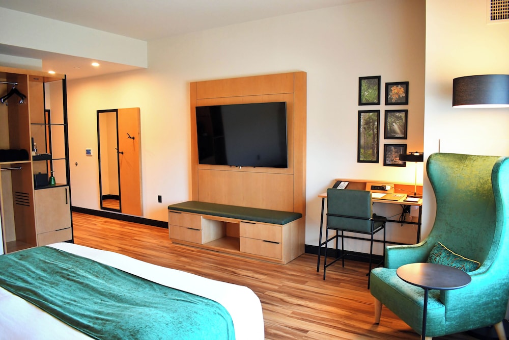 The Swiftwater - photo 29