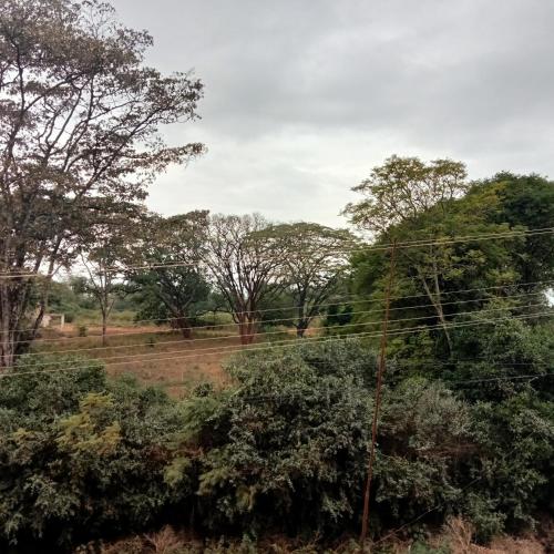 Jaymorgan’ cabins — Nyeri — photo 4