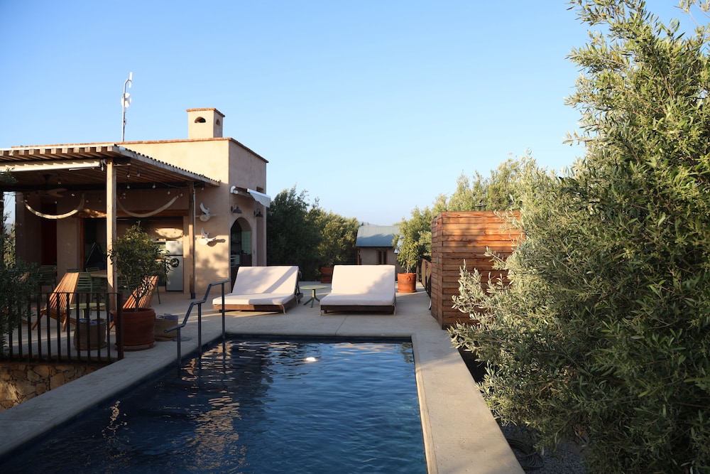 Alma Liebre Viñedos del Valle in Valle De Guadalupe, Mexico