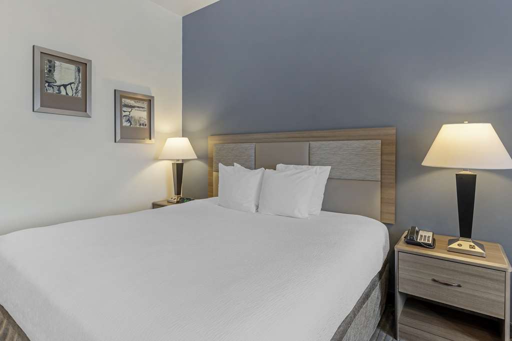 Best Western Plus Peppertree Nampa Civic Center Inn - photo 13