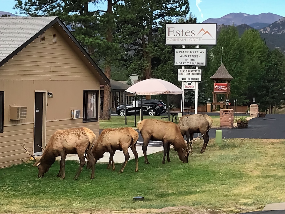 Estes Mountain Inn - photo 105