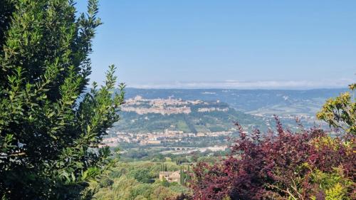 Tra gli ulivi e il panorama in Orvieto, Italy