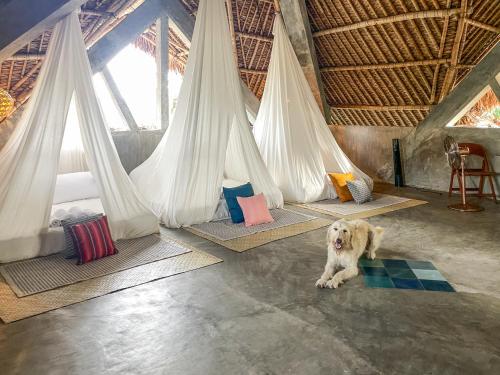 Baia Nest Turingan Loft Self Service Breakfast Near The Beach Pet Friendly With A Fee 21728541 — Gubat