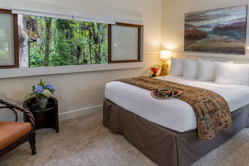 Volcano Village Estates - photo 11