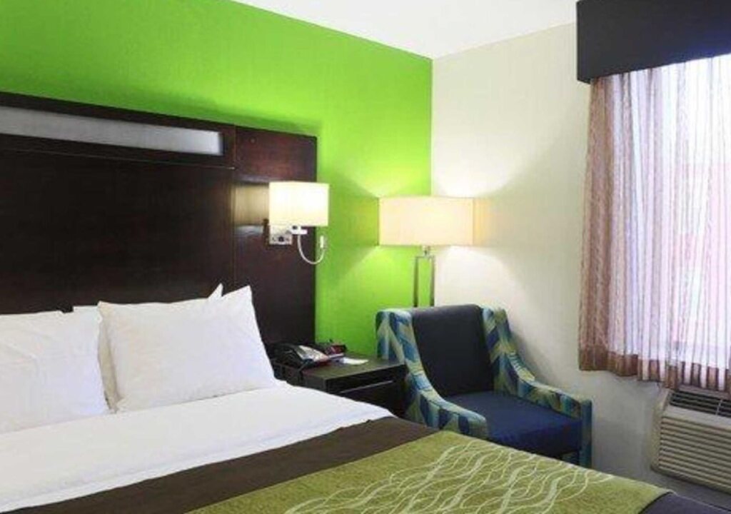 Comfort Inn Brooklyn City Center - photo 4