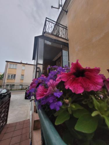 Pokoje gościnne Ustronie Morskie 260m do plaży in Ustronie Morskie, Poland